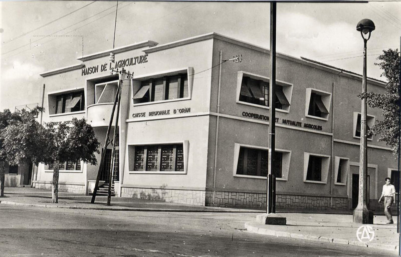 Hammam-bou-hadjar 521- Maison agriculture