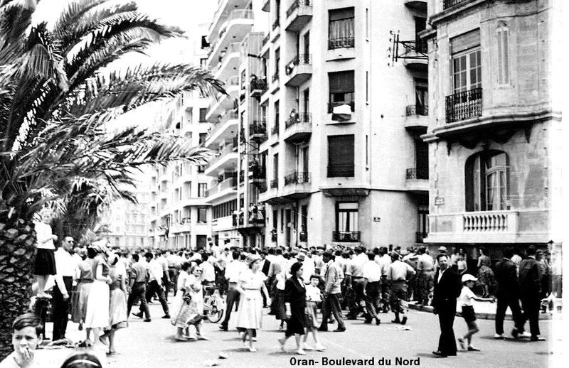 FM a- 130- Bd Front de mer