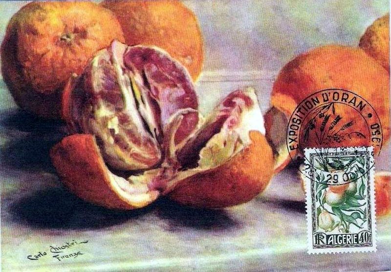 Timbre émis à la foire d' Oran en octobre 1950