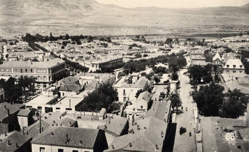 Saïda 529- Vue générale