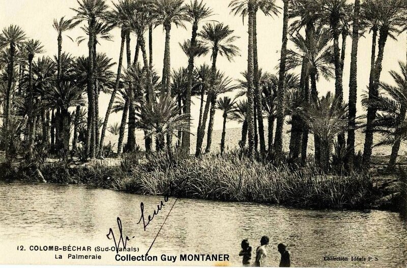 Colomb béchar 029- Collection Montaner_2