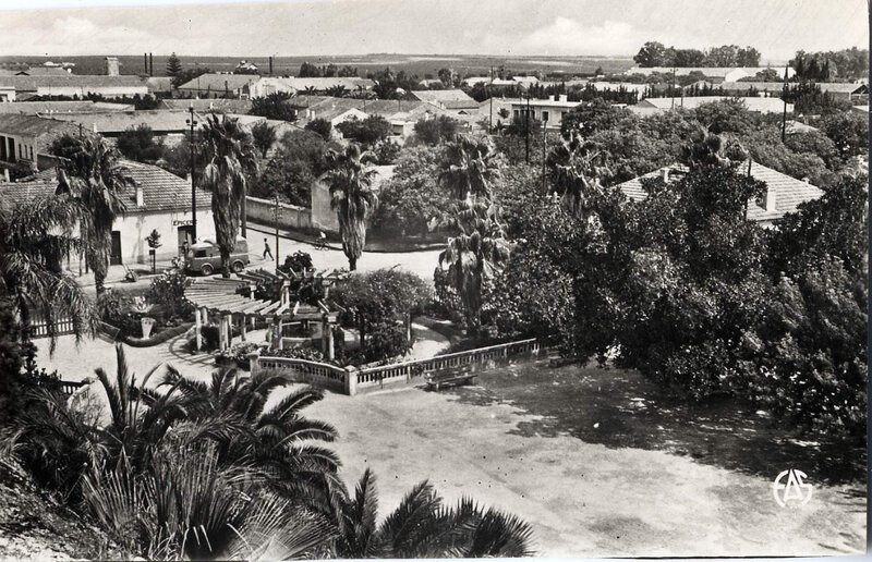Hammam-bou-hadjar 515- Parc des vieux bains