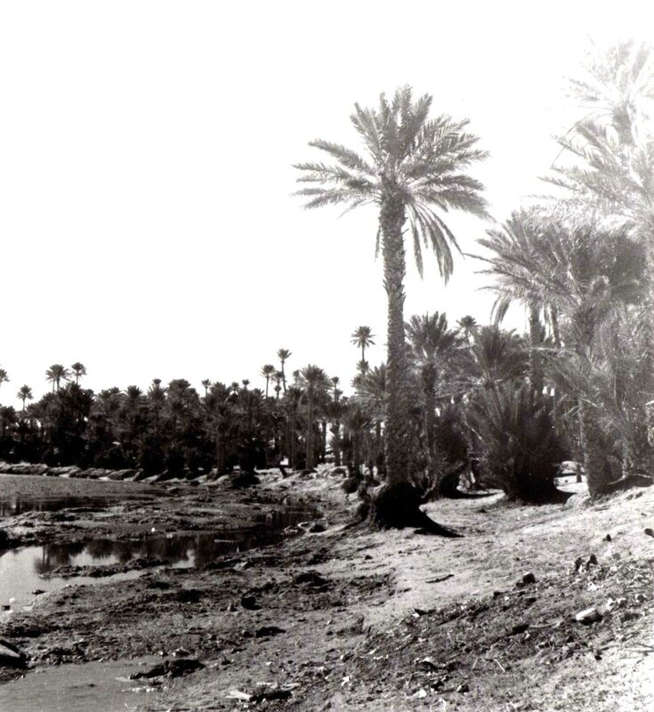 Colomb Béchar 057-collection Monneret