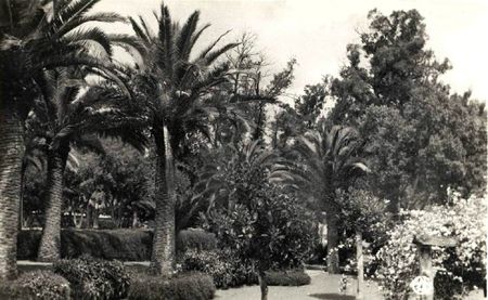 Aïn-Témouchent 504- Jardins