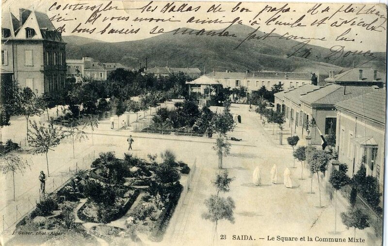 Saïda 003- Collection montaner