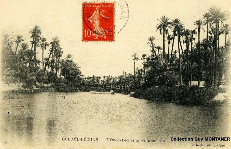 Colomb béchar 001- Collection Montaner_2