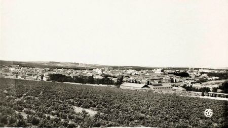 Aïn-Témouchent 509- Vue générale