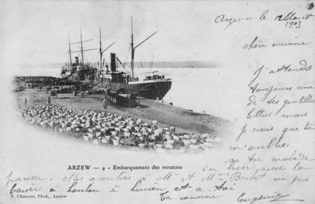 ARZEW_embarquement_des_moutons_1909