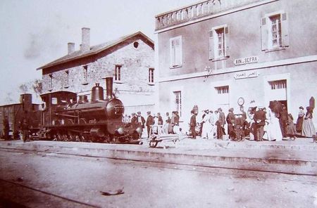 26A_n_sefra_035_Collection_Allogny