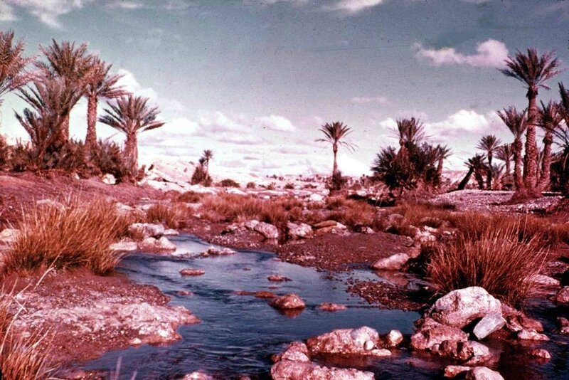 Colomb Béchar 045-collection Monneret