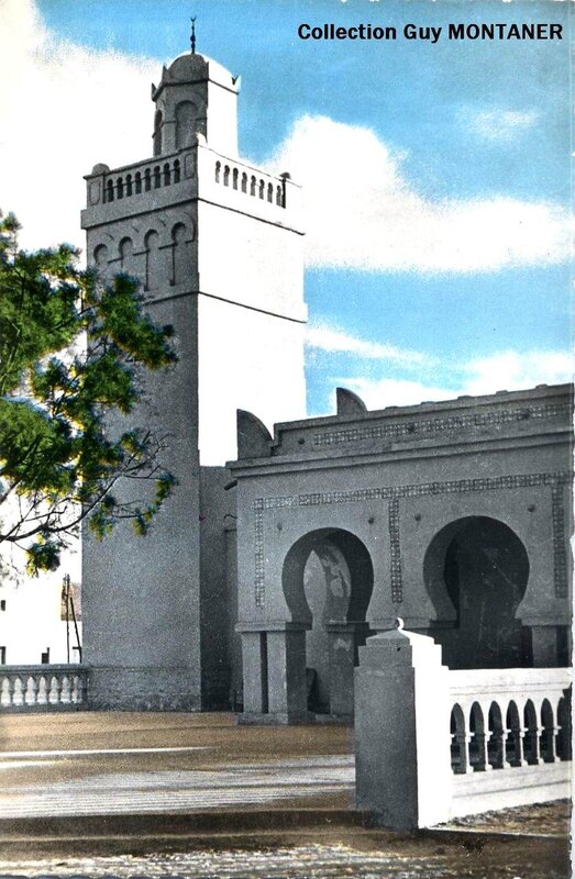 Colomb béchar 023- Collection Montaner_2