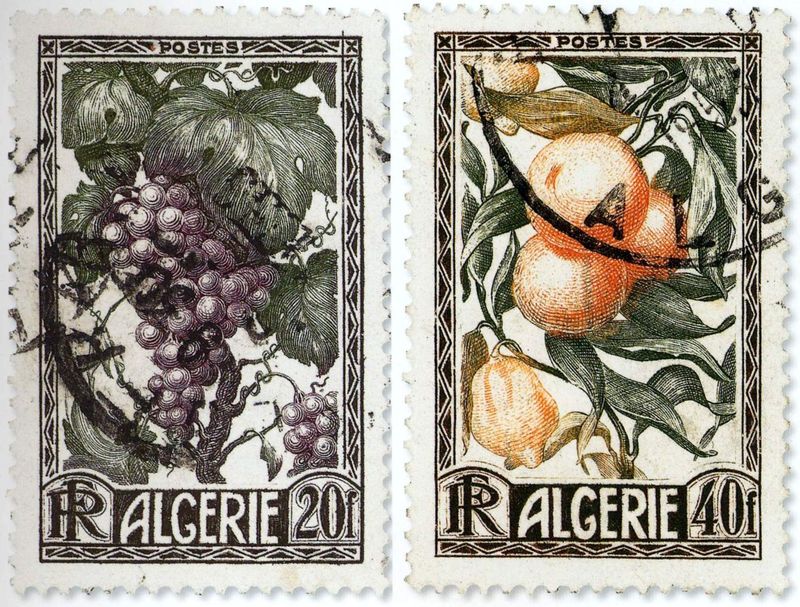 Timbre émis à la foire d' Oran