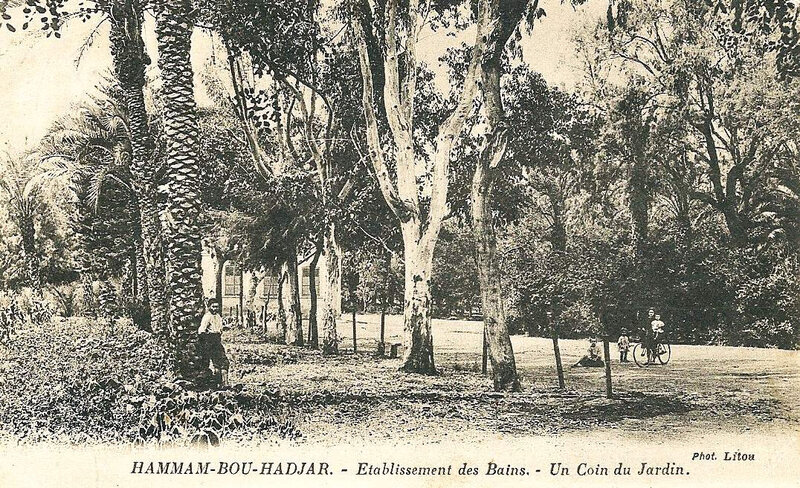 Hammam Bou Hadjar 607