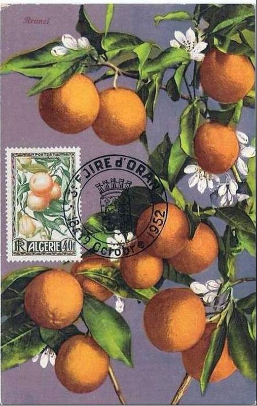 Timbre émis à la foire d' Oran en octobre 1952