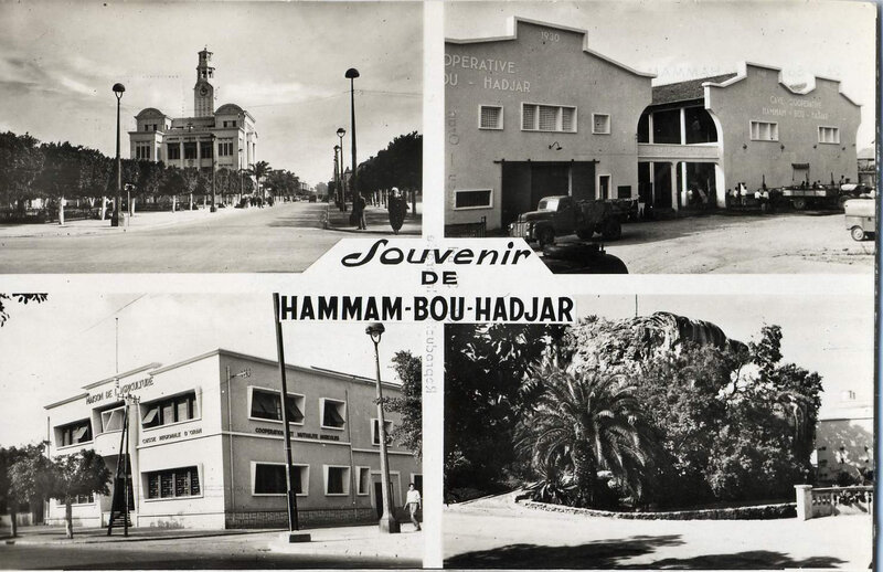 Hammam-bou-hadjar 527- Souvenirs
