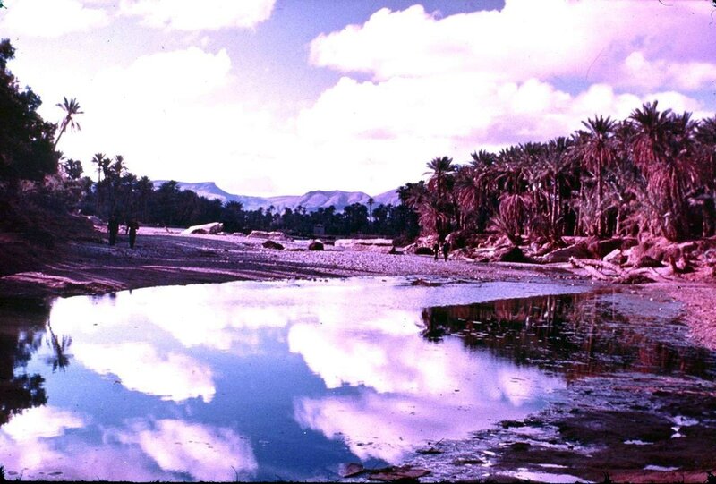 Colomb Béchar 046-collection Monneret