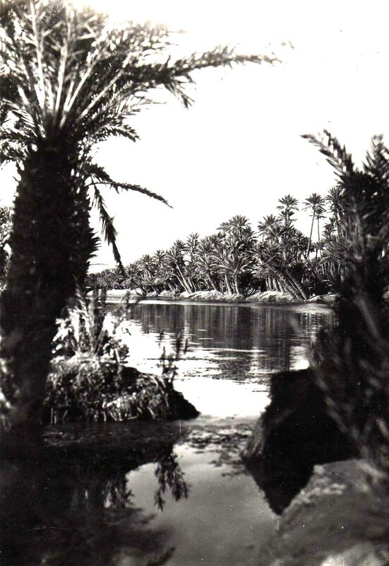 Colomb Béchar 053-collection Monneret