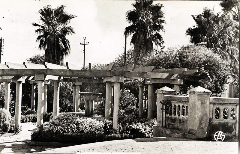 Hammam-bou-hadjar 528- Jardins