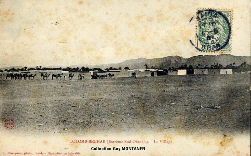 Colomb béchar 020- Collection Montaner_2