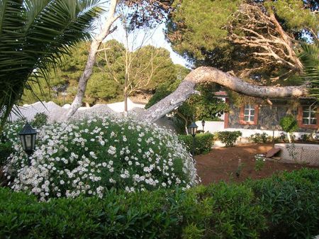 0JardinCasino canastel2007 123