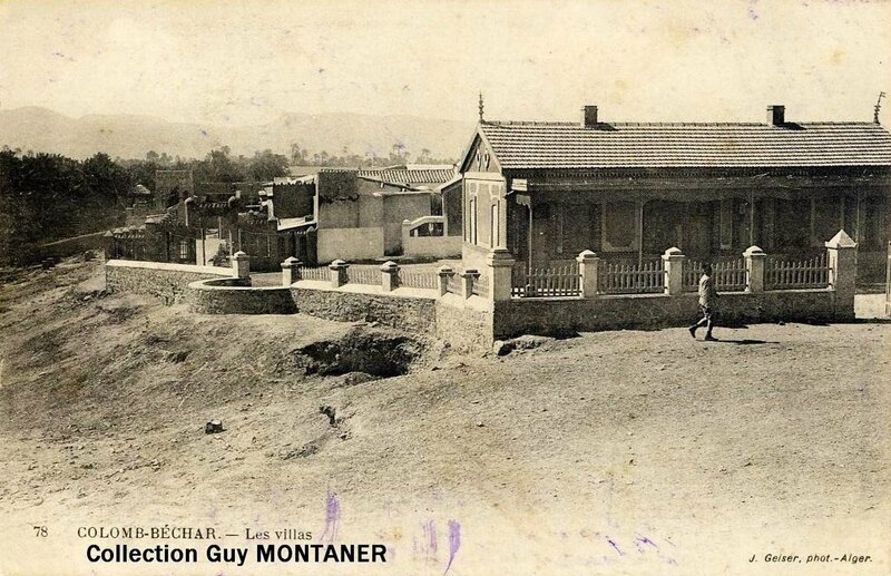 Colomb béchar 012- Collection Montaner_2