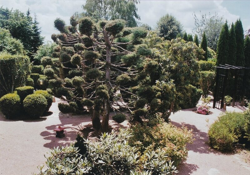 BUISIMG_20161118_0001