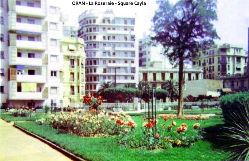 FM j- 004- Square Cayla- La roseraie