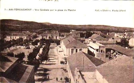 Ain temouchent 33
