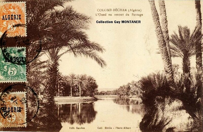 Colomb béchar 011- Collection Montaner_2