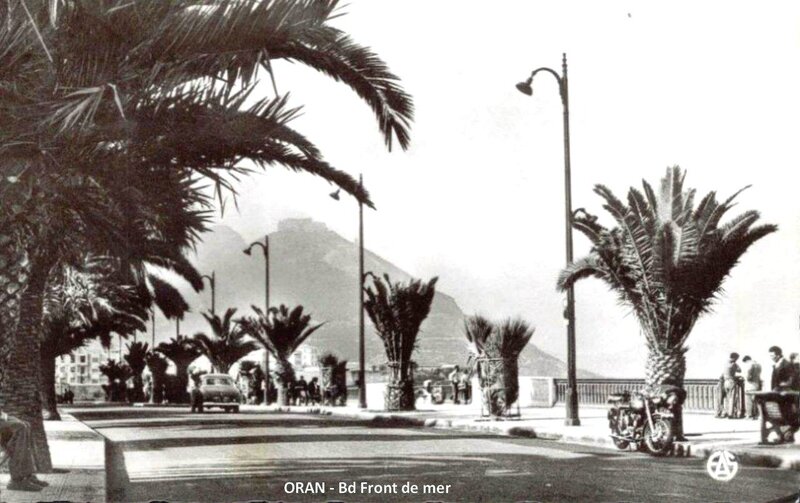 FM a- 034- Bd Front de mer