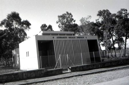 Aïn-tédeles 504- Assurances agricoles