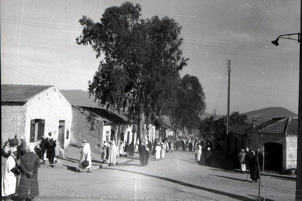 7Ammi-moussa 508- Rue du marché