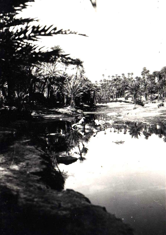 Colomb Béchar 051-collection Monneret