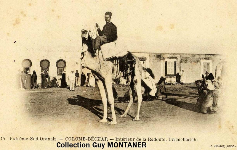 Colomb béchar 013- Collection Montaner_2