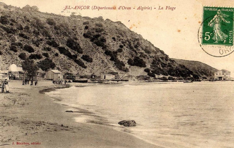 El ançor 31