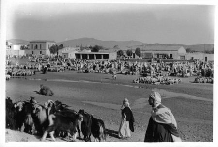 64Le marché aux moutons_redimensionner