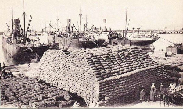 Oran- 061- travail sur les quais