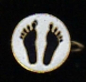 Insigne 2 politique pieds noirs en Algérie