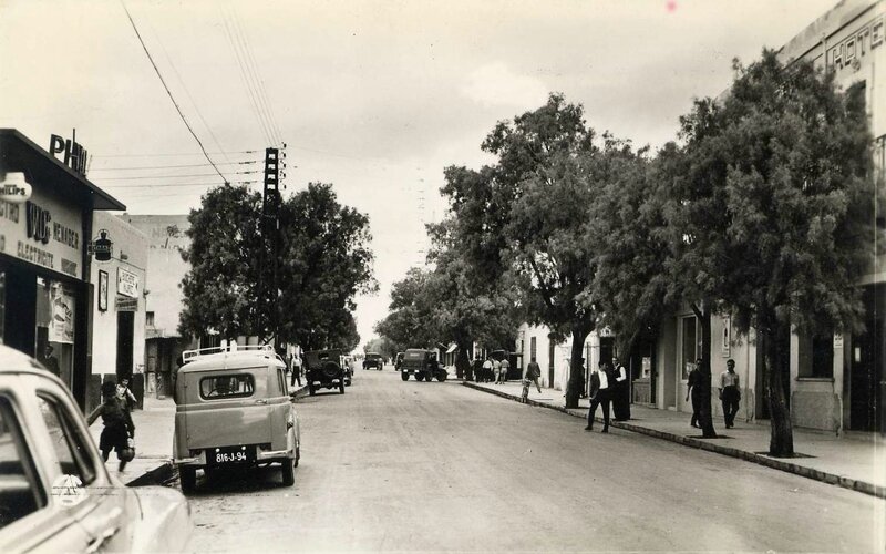 Colomb-béchar 508- Avenue Poincaré