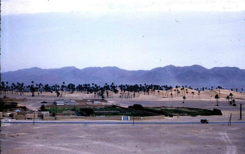 Colomb Béchar 055-collection Monneret