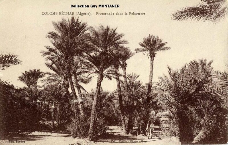 Colomb béchar 022- Collection Montaner_2