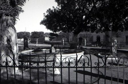 Aïn-tédeles 513- Le jet d'eau