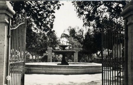 Aïn-tédeles 512- Le jet d'eau