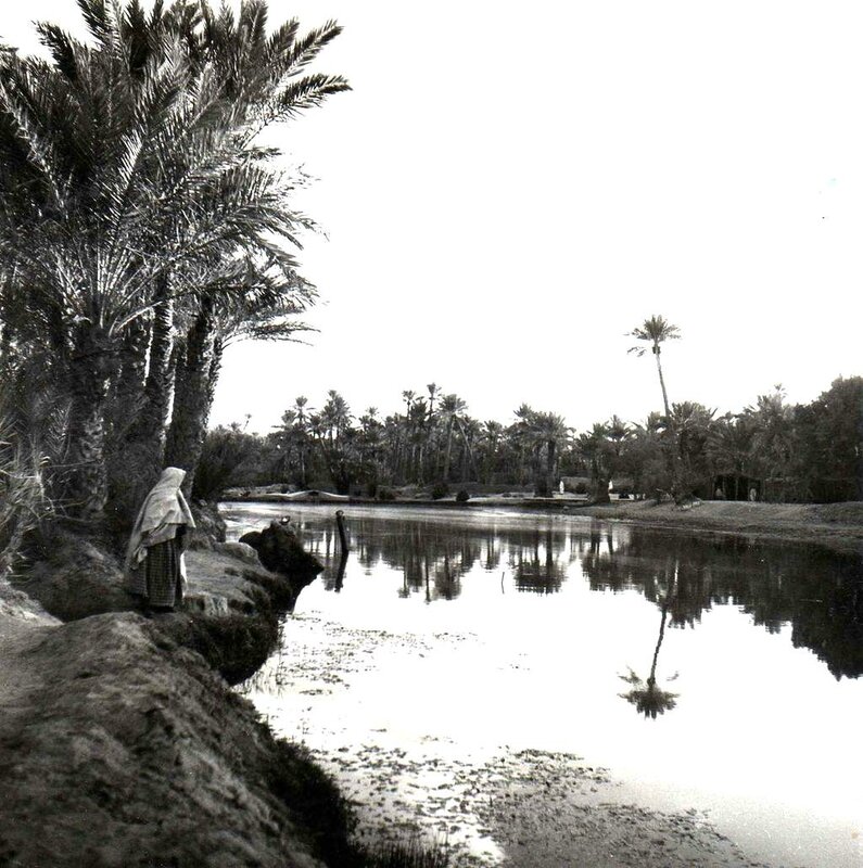 Colomb Béchar 041-collection Monneret