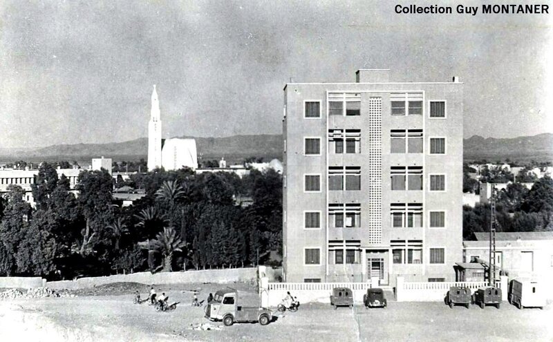 Colomb béchar 030- Collection Montaner_2