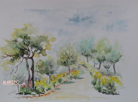 08_CHEMIN_DES_GENETS