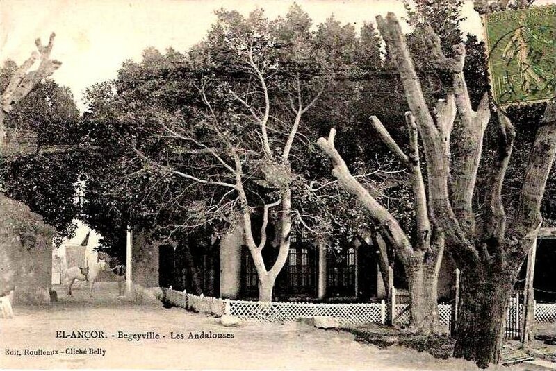 El ançor- Andalouses 32