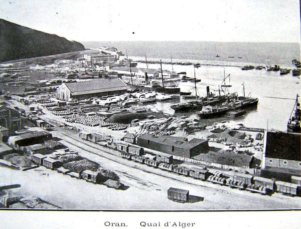 Oran- 116- travail sur les quais
