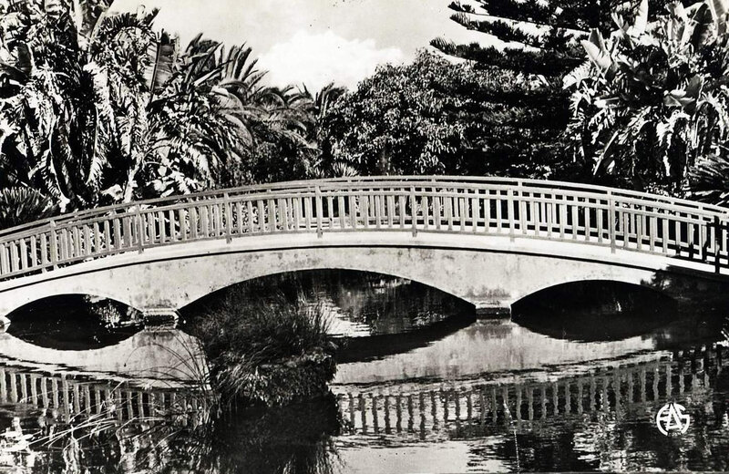 Hammam-bou-hadjar 523- Le pont