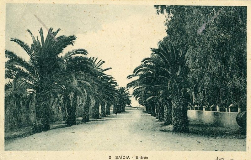 Saïda 004- Collection montaner